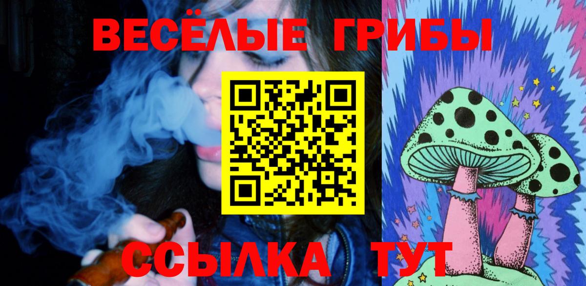 Кудымкар  Псилоцибиновые грибы Cubensis  Псилоцибиновые грибы прущие грибы  Вход с VPN 